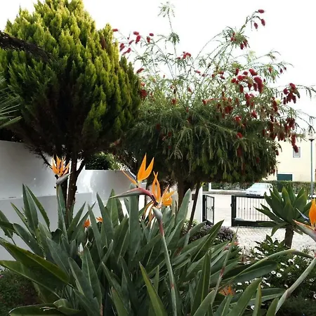 Alto Da Ria 37 * Alvor